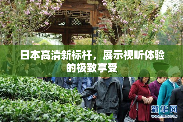 日本高清新标杆，展示视听体验的极致享受