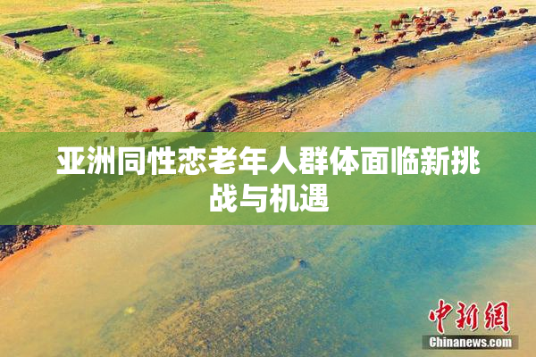 亚洲同性恋老年人群体面临新挑战与机遇
