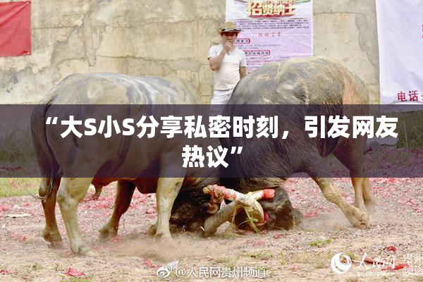 “大S小S分享私密时刻，引发网友热议”
