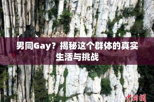 男同Gay？揭秘这个群体的真实生活与挑战