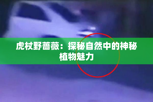 虎杖野蔷薇：探秘自然中的神秘植物魅力