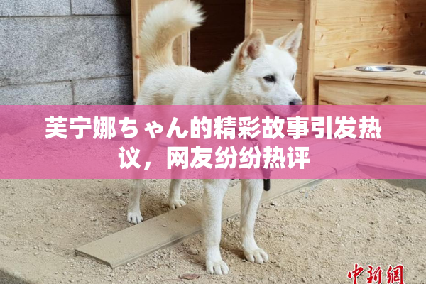 芙宁娜ちゃん的精彩故事引发热议，网友纷纷热评