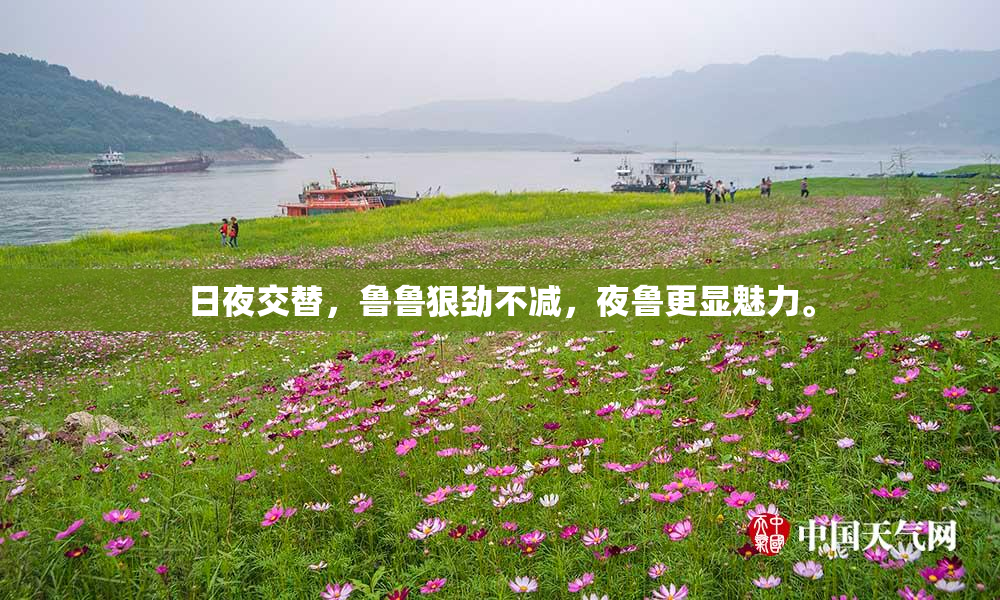 日夜交替，鲁鲁狠劲不减，夜鲁更显魅力。