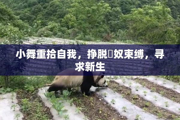 小舞重拾自我，挣脱婬奴束缚，寻求新生