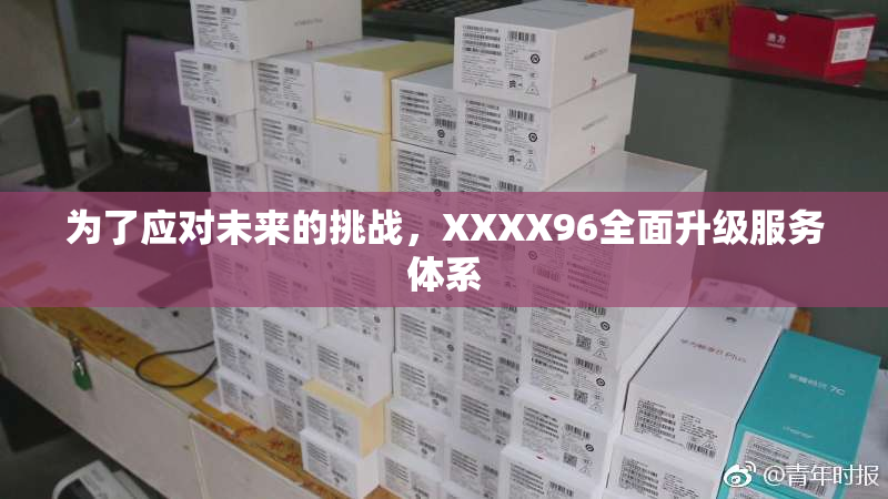 为了应对未来的挑战，XXXX96全面升级服务体系