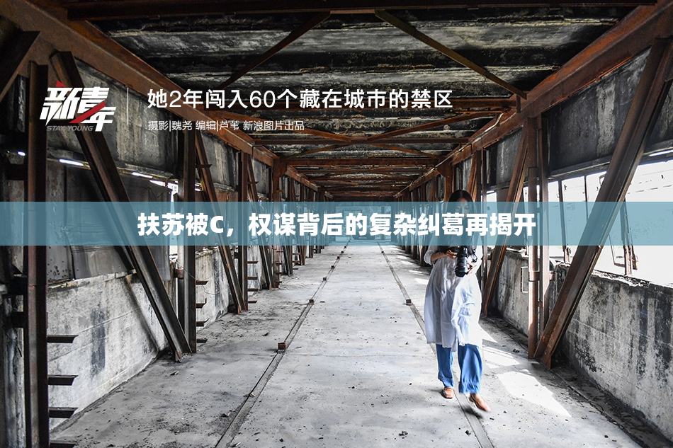 扶苏被C，权谋背后的复杂纠葛再揭开