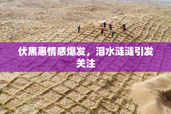 伏黑惠情感爆发，泪水涟涟引发关注