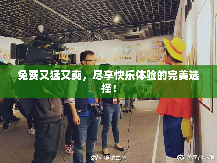 免费又猛又爽，尽享快乐体验的完美选择！