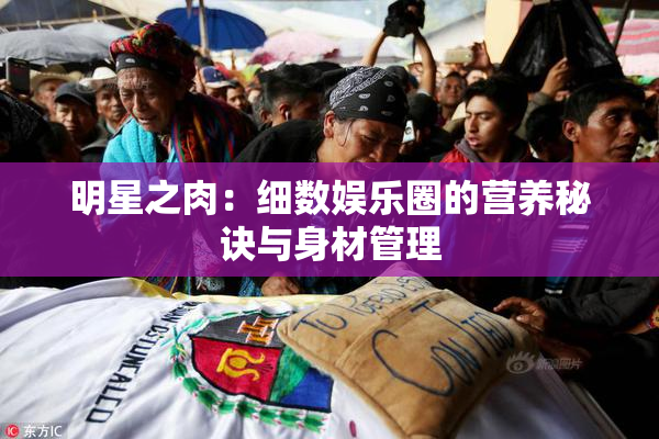 明星之肉：细数娱乐圈的营养秘诀与身材管理