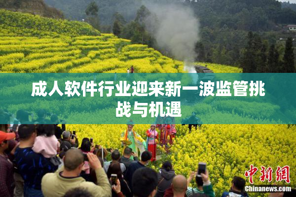 成人软件行业迎来新一波监管挑战与机遇