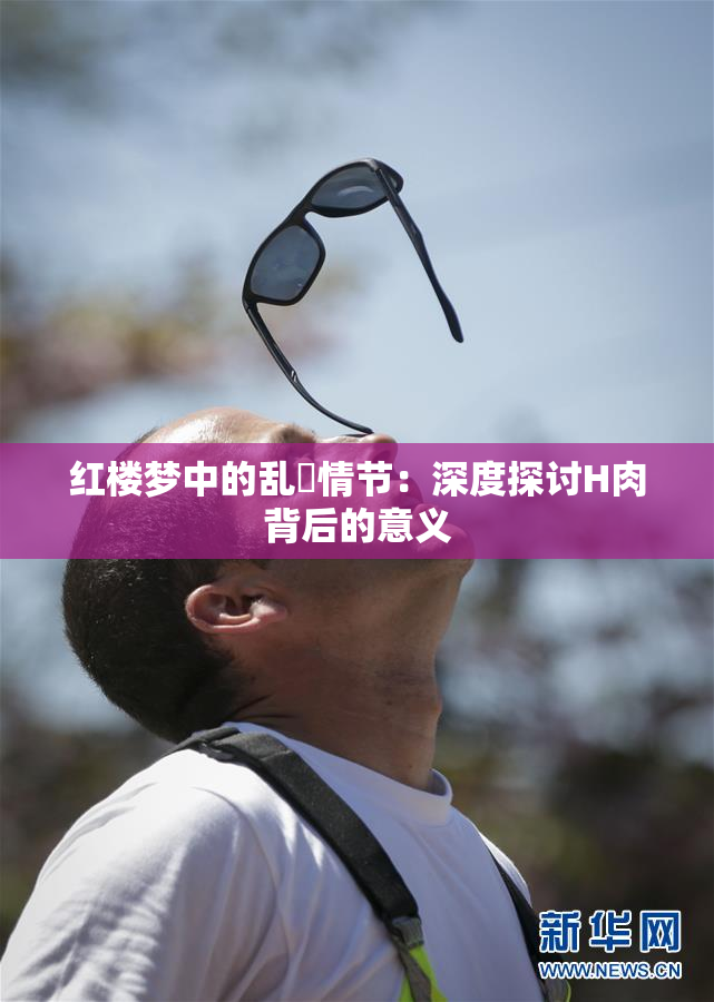 红楼梦中的乱婬情节：深度探讨H肉背后的意义