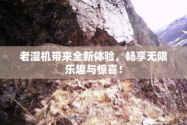 老湿机带来全新体验，畅享无限乐趣与惊喜！