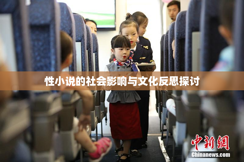 性小说的社会影响与文化反思探讨