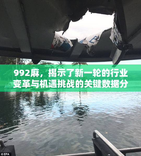 992麻，揭示了新一轮的行业变革与机遇挑战的关键数据分析
