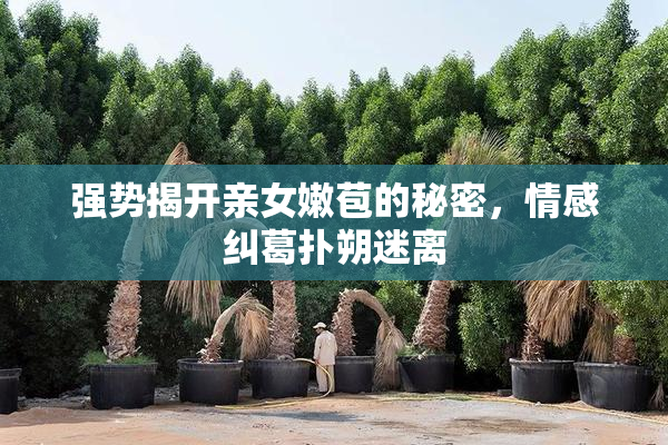 强势揭开亲女嫩苞的秘密，情感纠葛扑朔迷离
