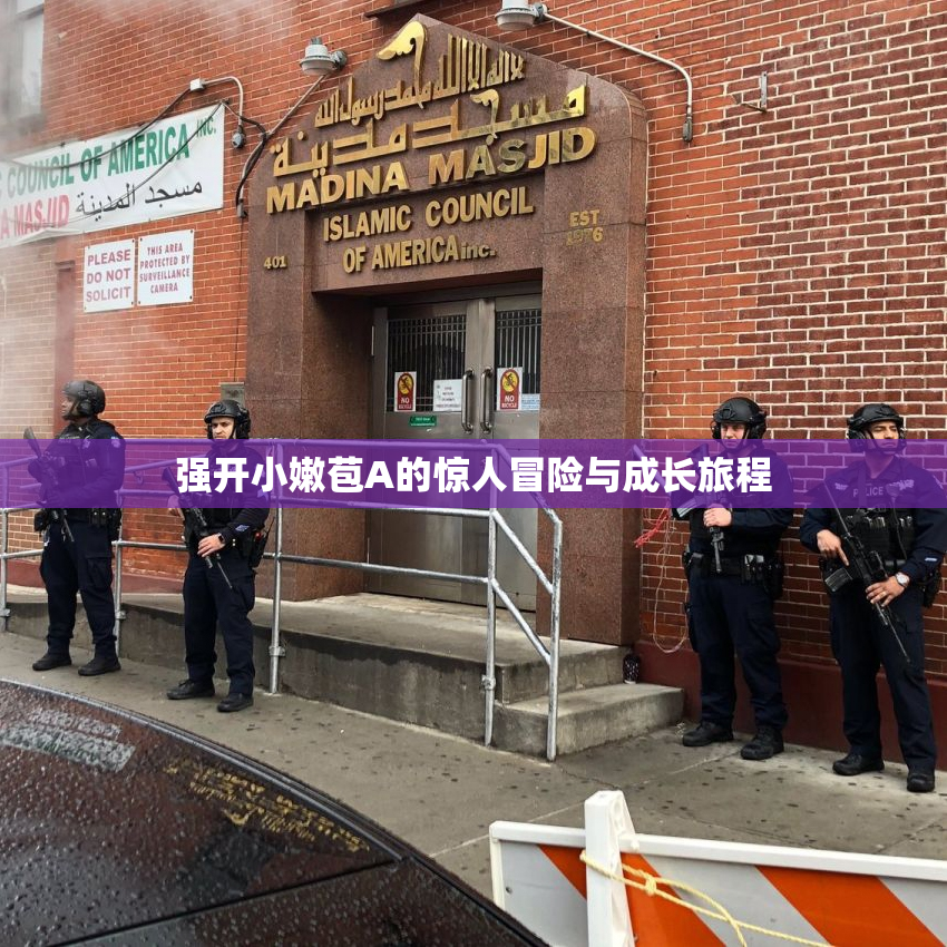 强开小嫩苞A的惊人冒险与成长旅程