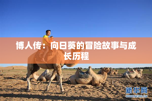 博人传：向日葵的冒险故事与成长历程