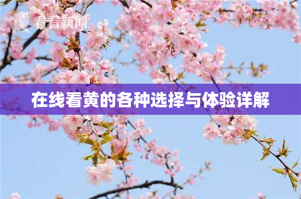 在线看黄的各种选择与体验详解