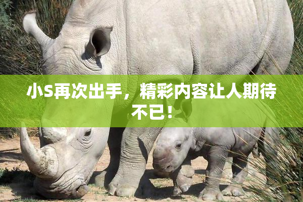 小S再次出手，精彩内容让人期待不已！