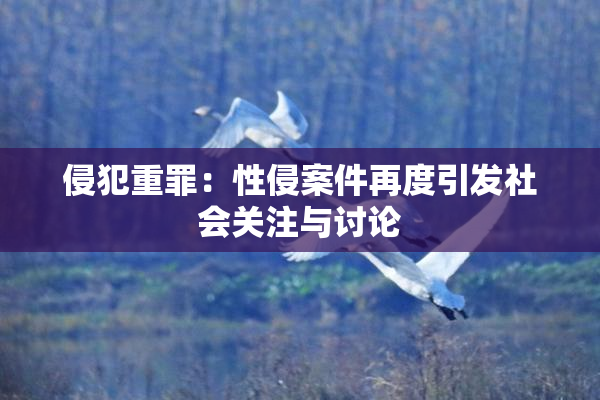 侵犯重罪：性侵案件再度引发社会关注与讨论