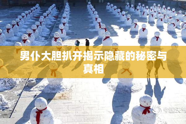 男仆大胆扒开揭示隐藏的秘密与真相