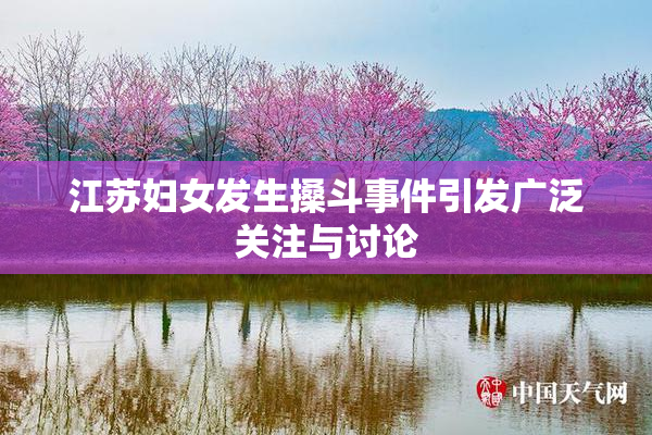 江苏妇女发生搡斗事件引发广泛关注与讨论