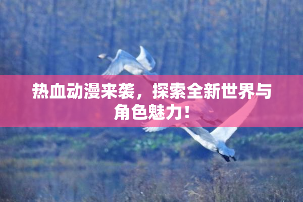 热血动漫来袭，探索全新世界与角色魅力！