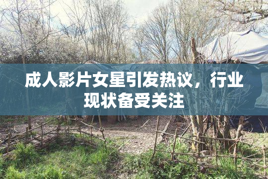 成人影片女星引发热议，行业现状备受关注