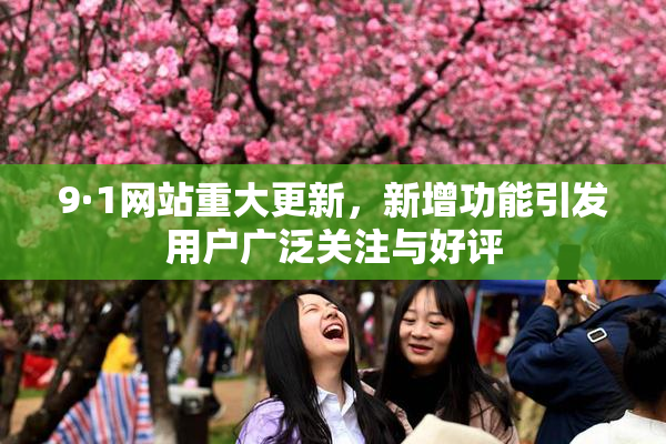 9·1网站重大更新，新增功能引发用户广泛关注与好评