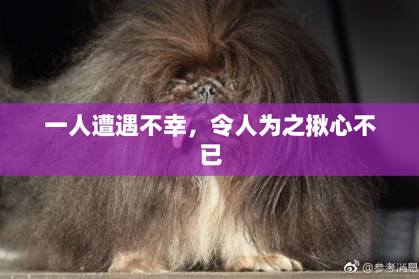 一人遭遇不幸，令人为之揪心不已