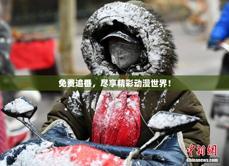 免费追番，尽享精彩动漫世界！