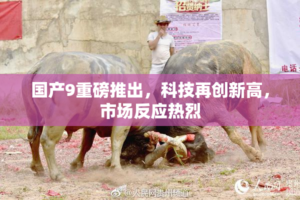 国产9重磅推出，科技再创新高，市场反应热烈