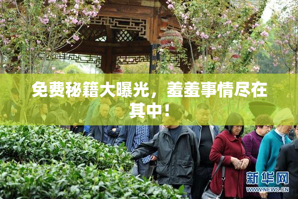免费秘籍大曝光，羞羞事情尽在其中！