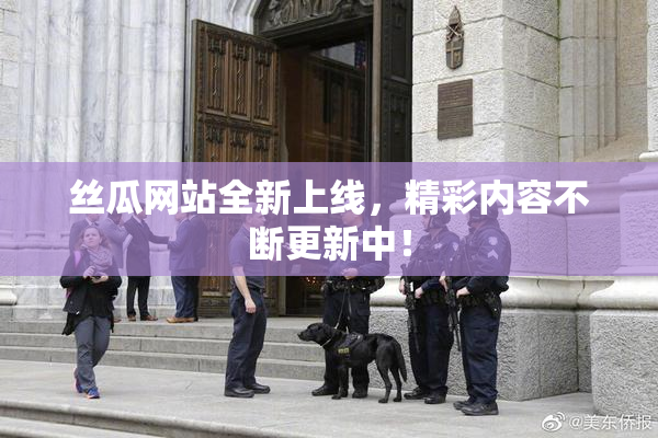 丝瓜网站全新上线，精彩内容不断更新中！