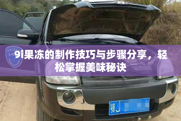 9i果冻的制作技巧与步骤分享，轻松掌握美味秘诀