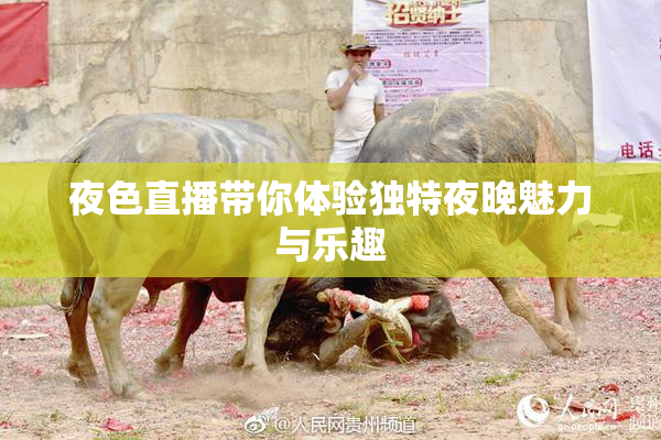 夜色直播带你体验独特夜晚魅力与乐趣