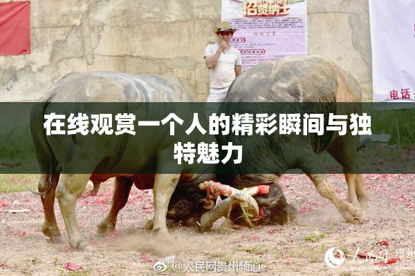 在线观赏一个人的精彩瞬间与独特魅力
