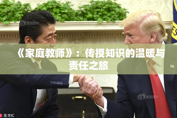 《家庭教师》：传授知识的温暖与责任之旅