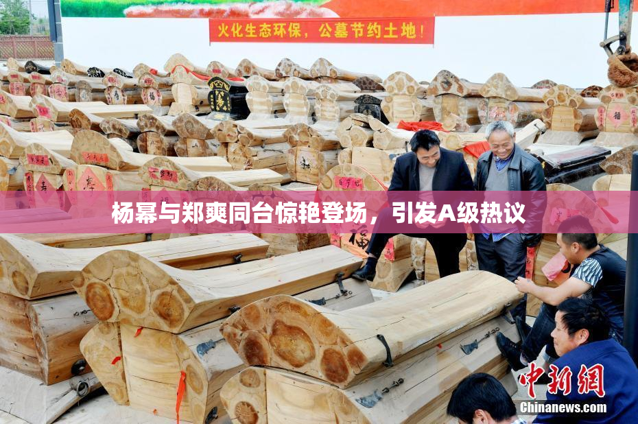 杨幂与郑爽同台惊艳登场，引发A级热议