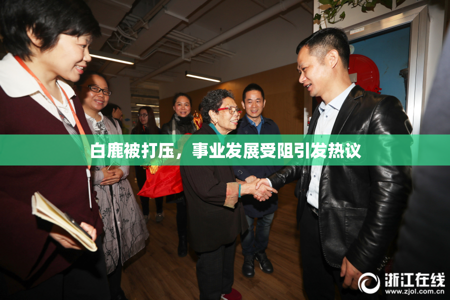 白鹿被打压，事业发展受阻引发热议