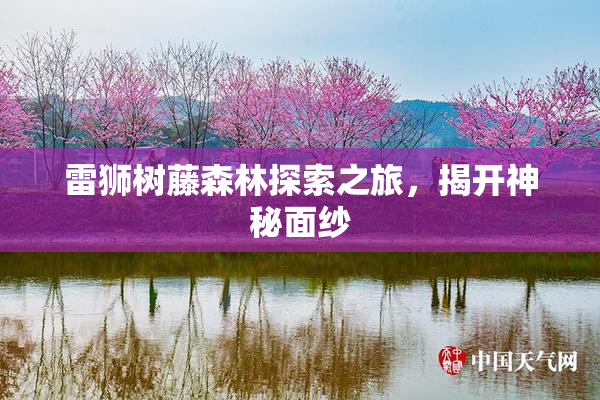 雷狮树藤森林探索之旅，揭开神秘面纱