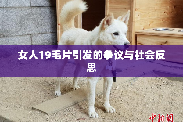 女人19毛片引发的争议与社会反思