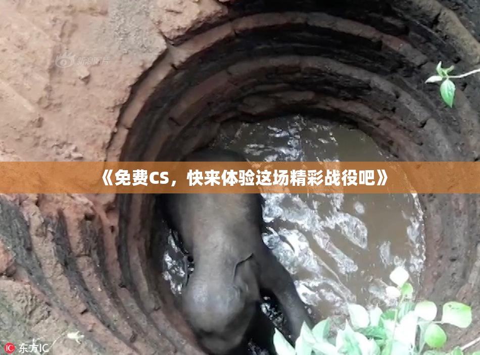 《免费CS，快来体验这场精彩战役吧》