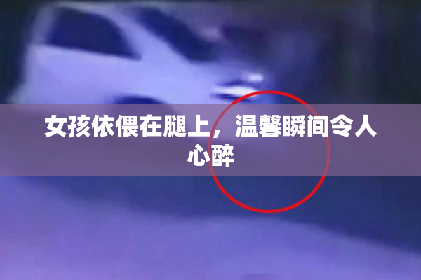 女孩依偎在腿上，温馨瞬间令人心醉