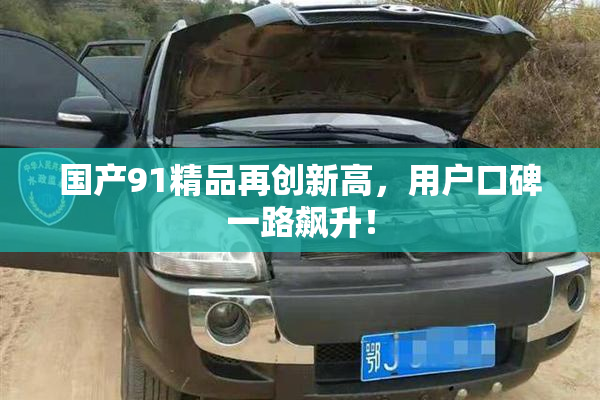 国产91精品再创新高，用户口碑一路飙升！