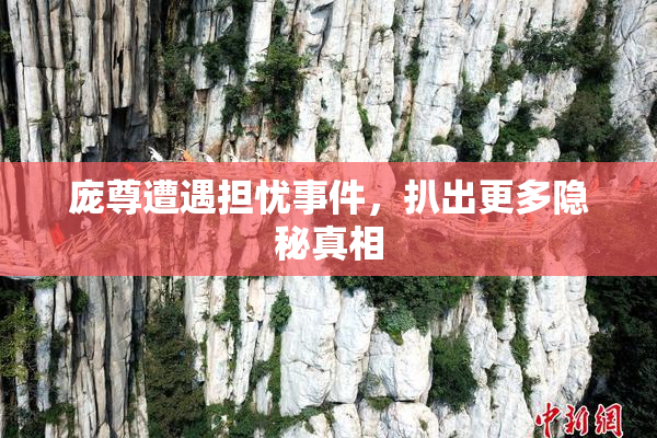 庞尊遭遇担忧事件，扒出更多隐秘真相