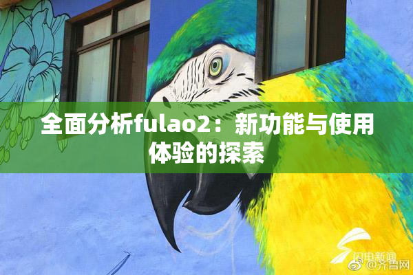 全面分析fulao2：新功能与使用体验的探索