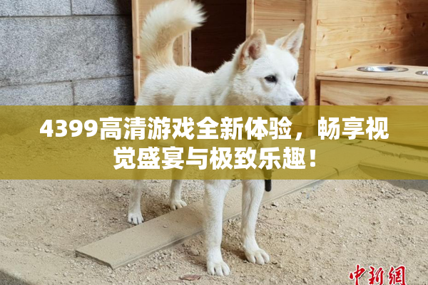 4399高清游戏全新体验，畅享视觉盛宴与极致乐趣！
