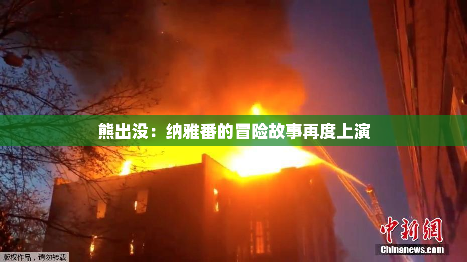 熊出没：纳雅番的冒险故事再度上演
