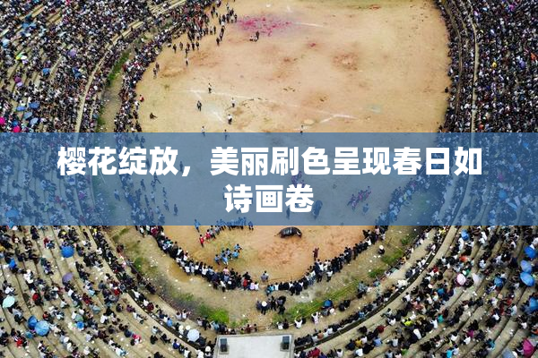 樱花绽放，美丽刷色呈现春日如诗画卷